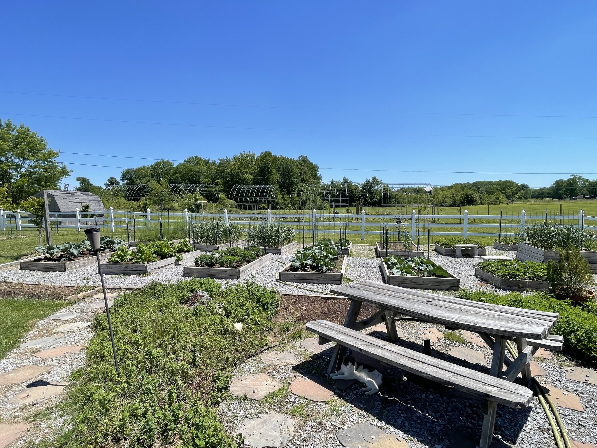 805A Jackson Road Portland TN 37148