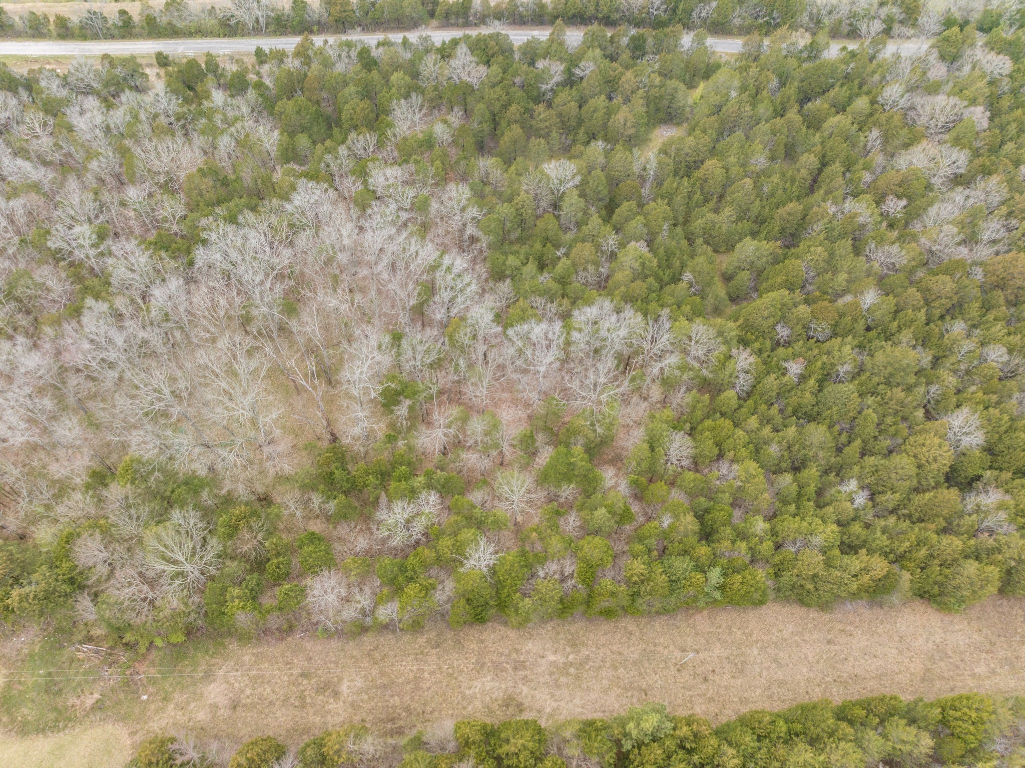 0 Owl Hollow Road Spring Hill TN 37174