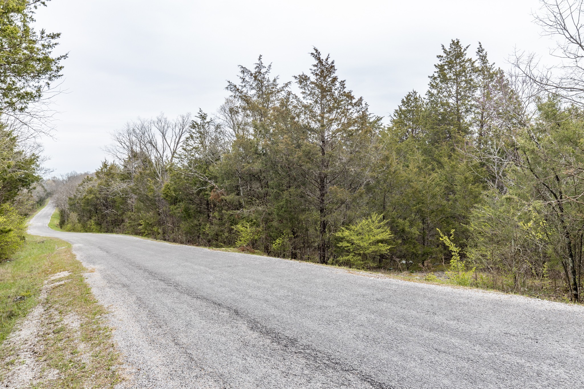 0 Owl Hollow Road Spring Hill TN 37174