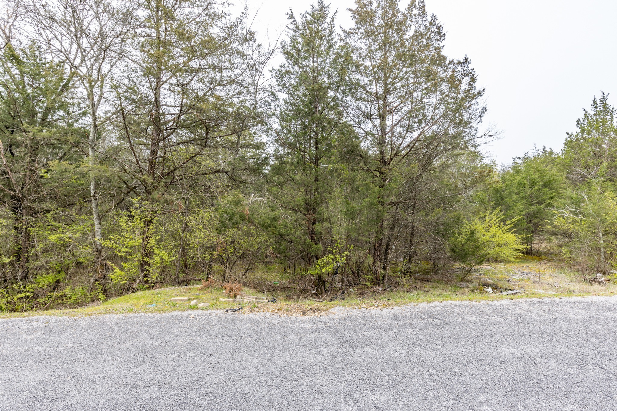 0 Owl Hollow Road Spring Hill TN 37174
