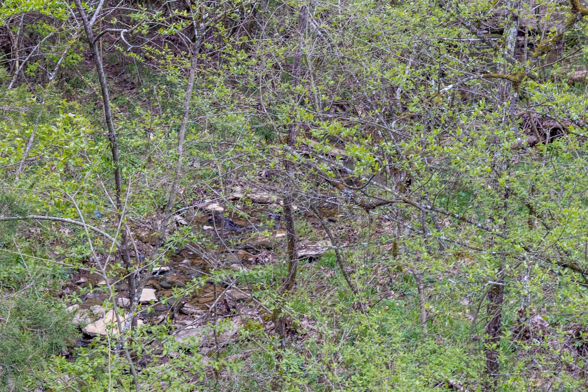 0 Owl Hollow Road Spring Hill TN 37174