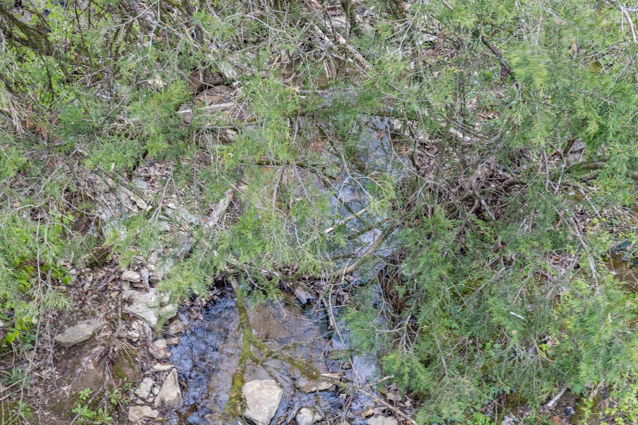 0 Owl Hollow Road Spring Hill TN 37174