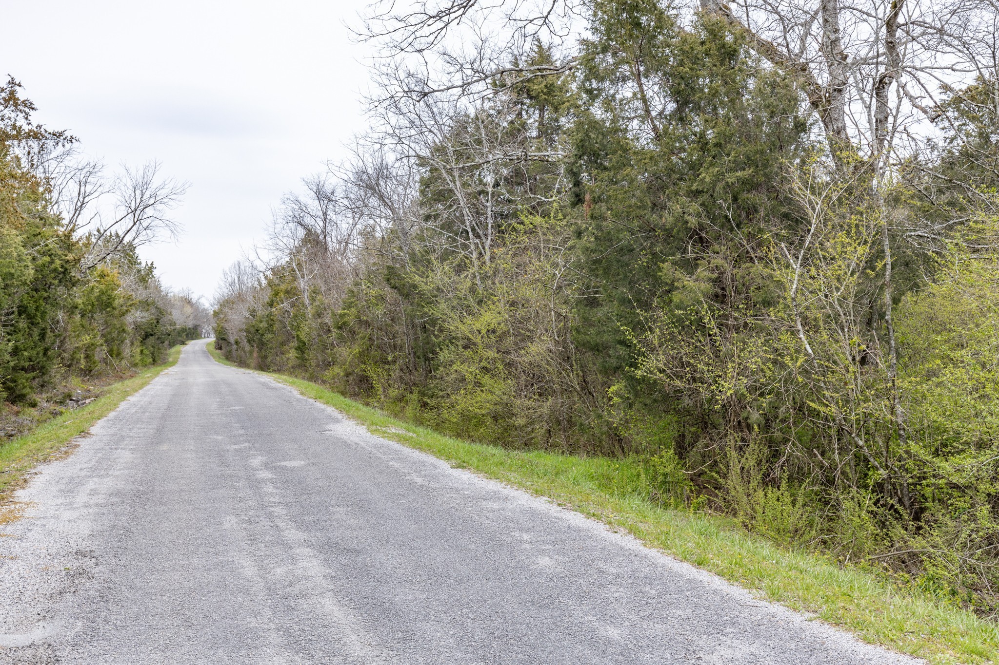 0 Owl Hollow Road Spring Hill TN 37174