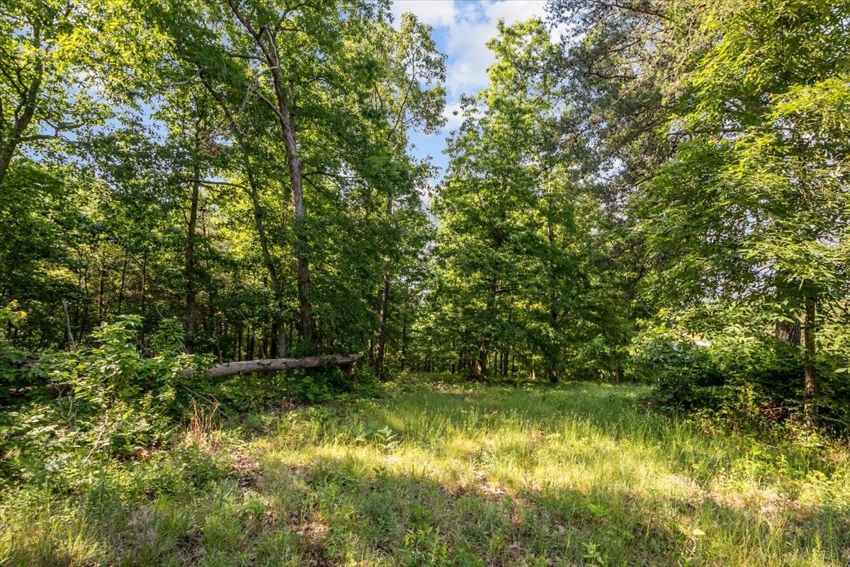 0 Highwater Road Waverly TN 37185