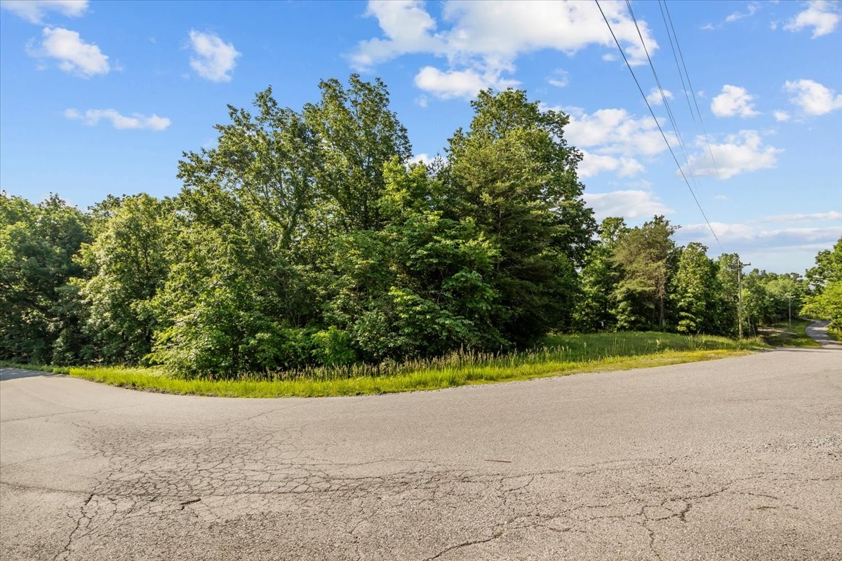 0 Highwater Road Waverly TN 37185