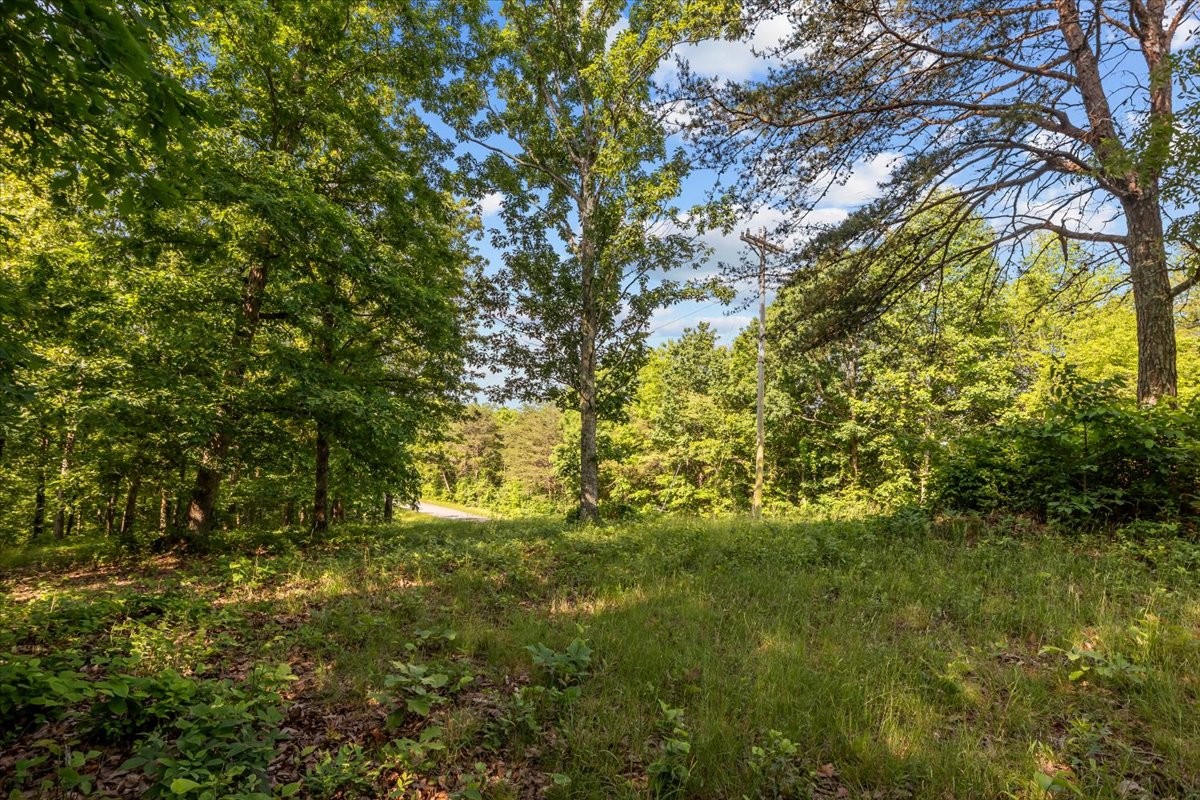 0 Highwater Road Waverly TN 37185