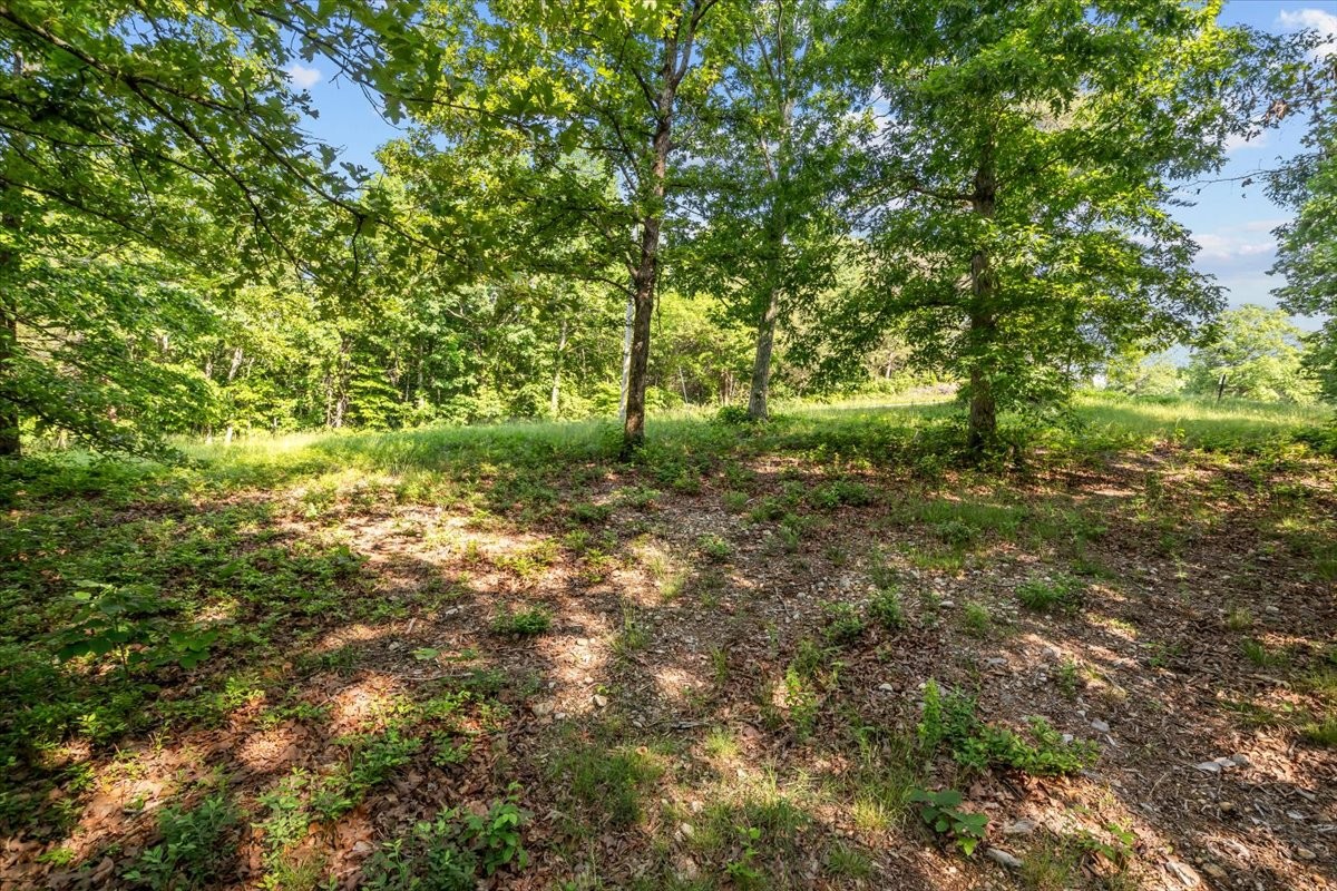 0 Highwater Road Waverly TN 37185