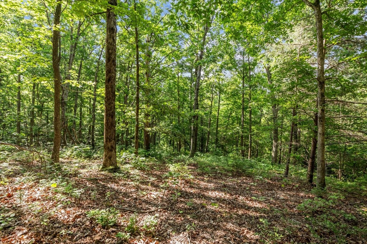 0 Highwater Road Waverly TN 37185