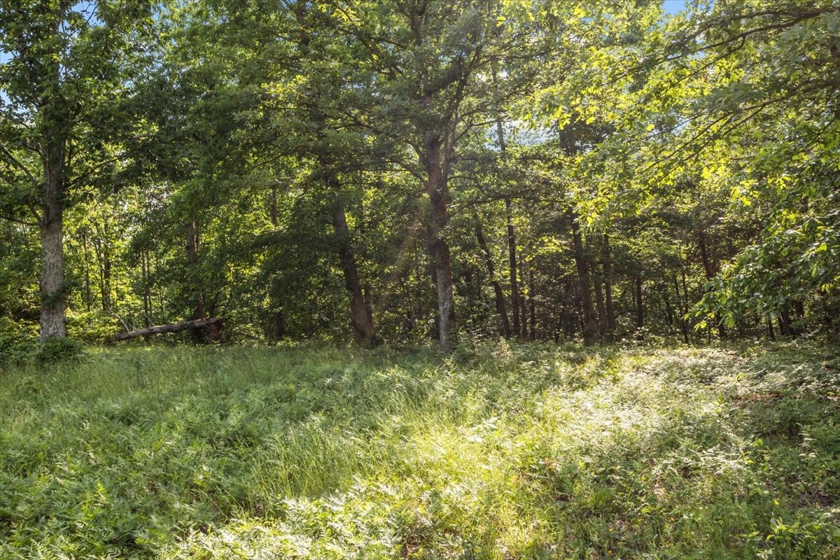 0 Highwater Road Waverly TN 37185