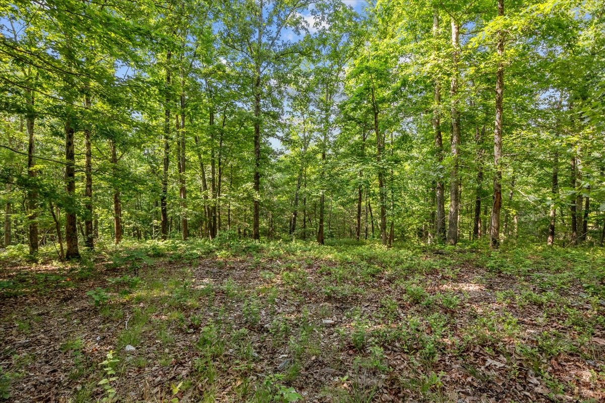 0 Highwater Road Waverly TN 37185
