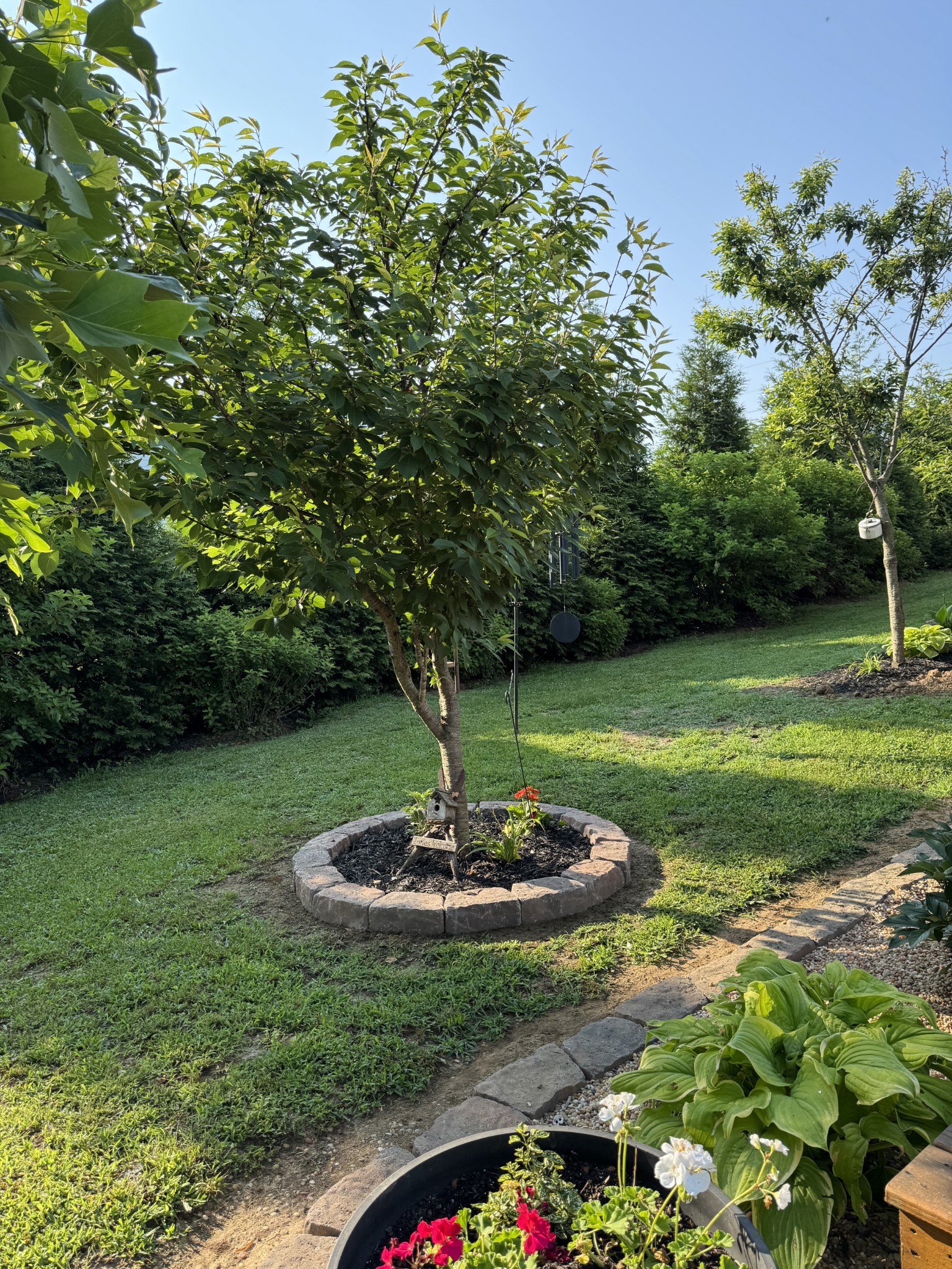 605 Compton Lane Columbia TN 38401