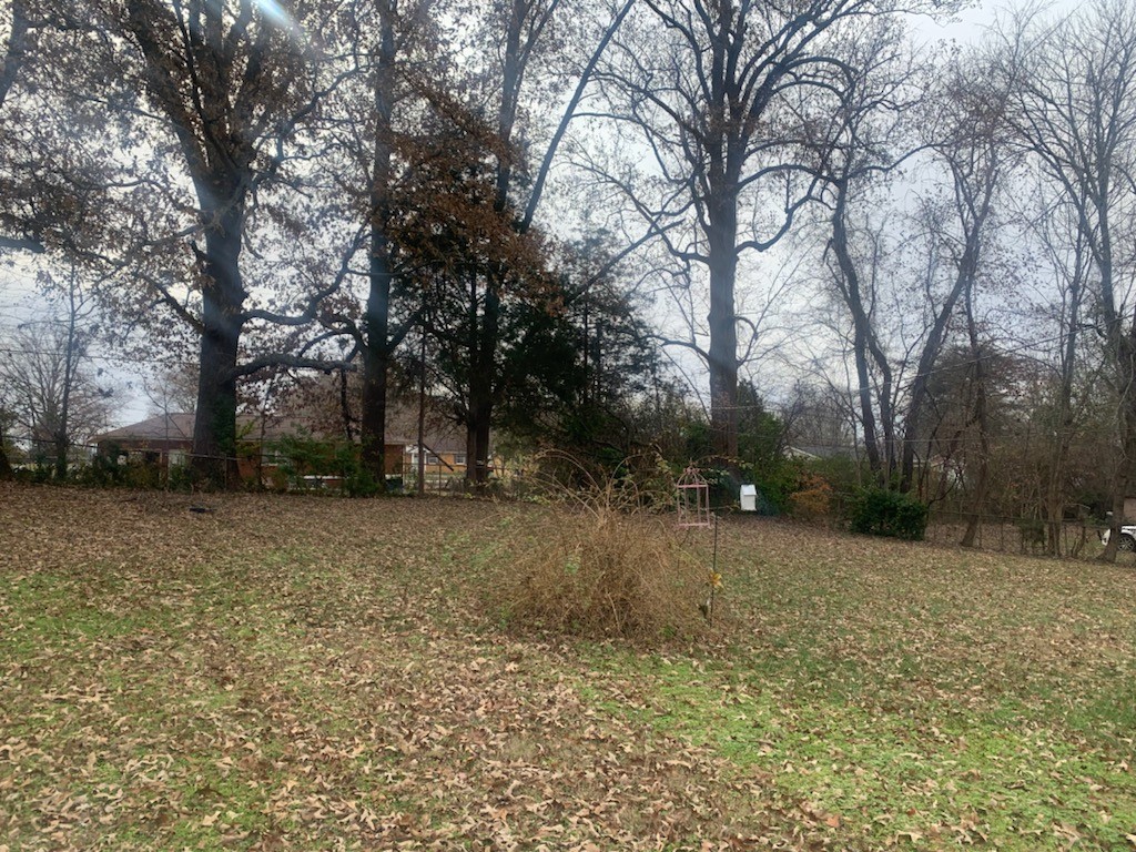 207 Dale Terrace Clarksville TN 37042