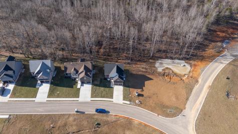 1208 Rooster Ridge Road Pleasant View TN 37146