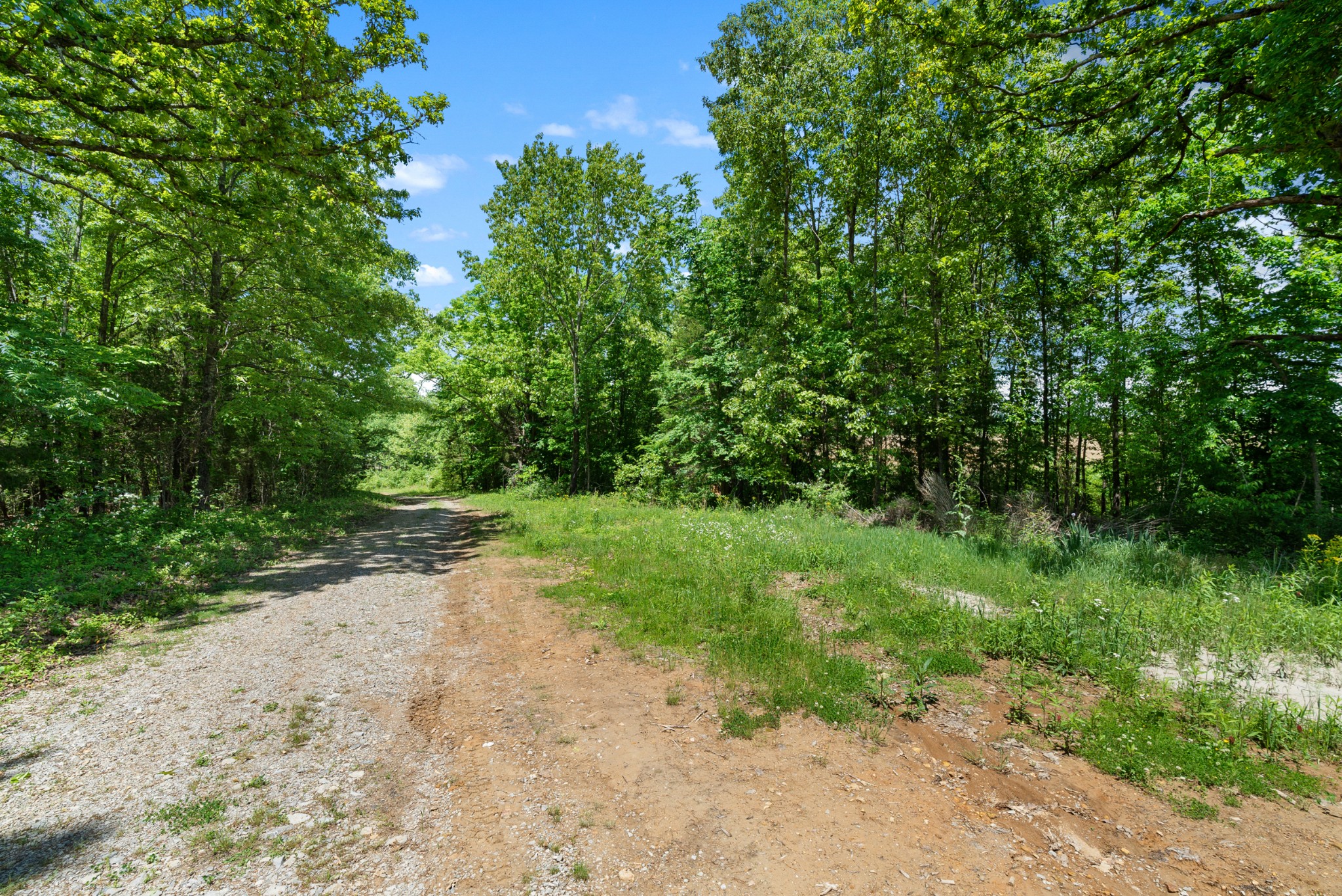 1 Tom Austin Highway Springfield TN 37172