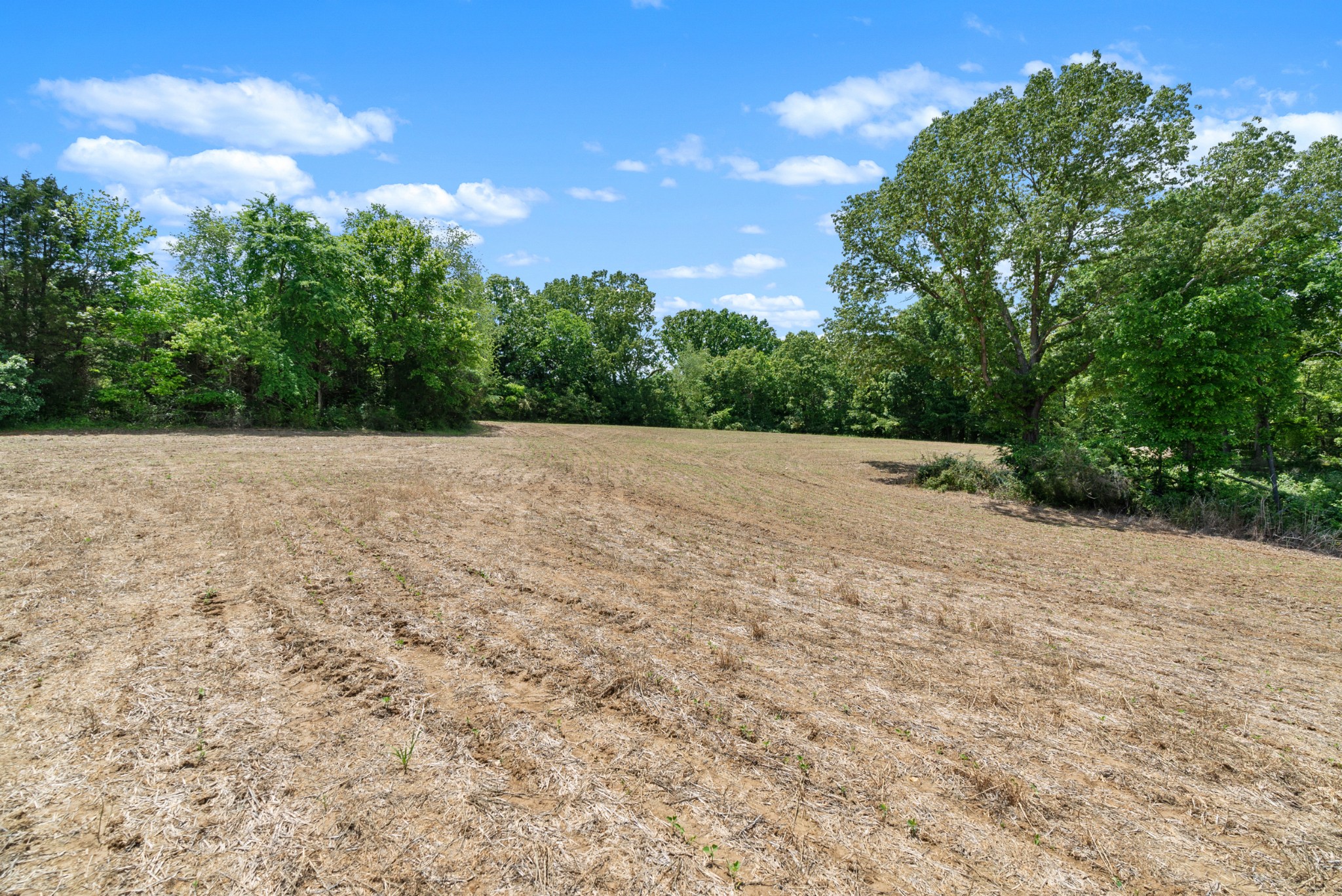 1 Tom Austin Highway Springfield TN 37172