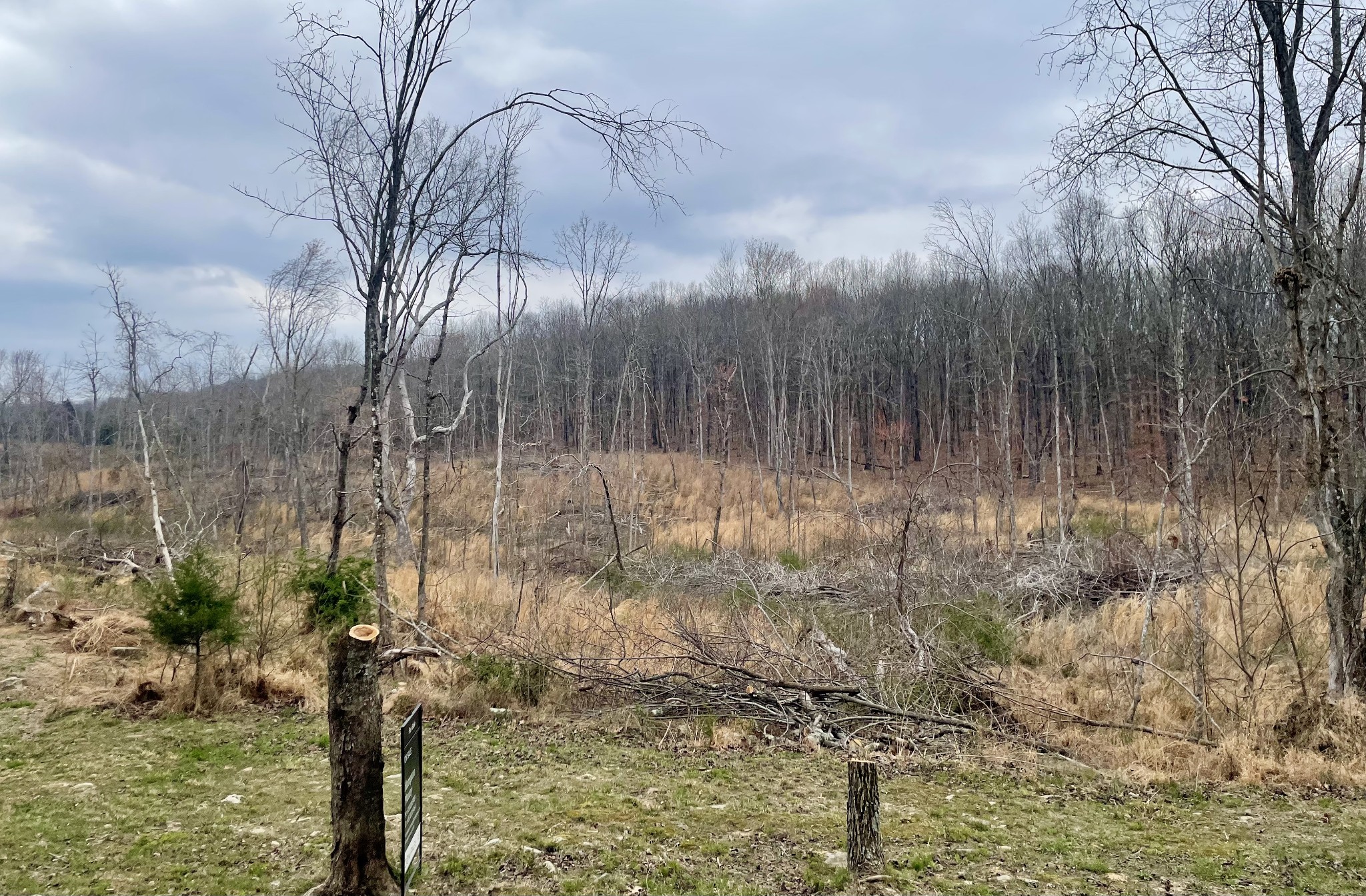 0 Jackson Point Road Sewanee TN 37375