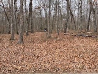 0 Cooleys Rift Boulevard Monteagle TN 37356