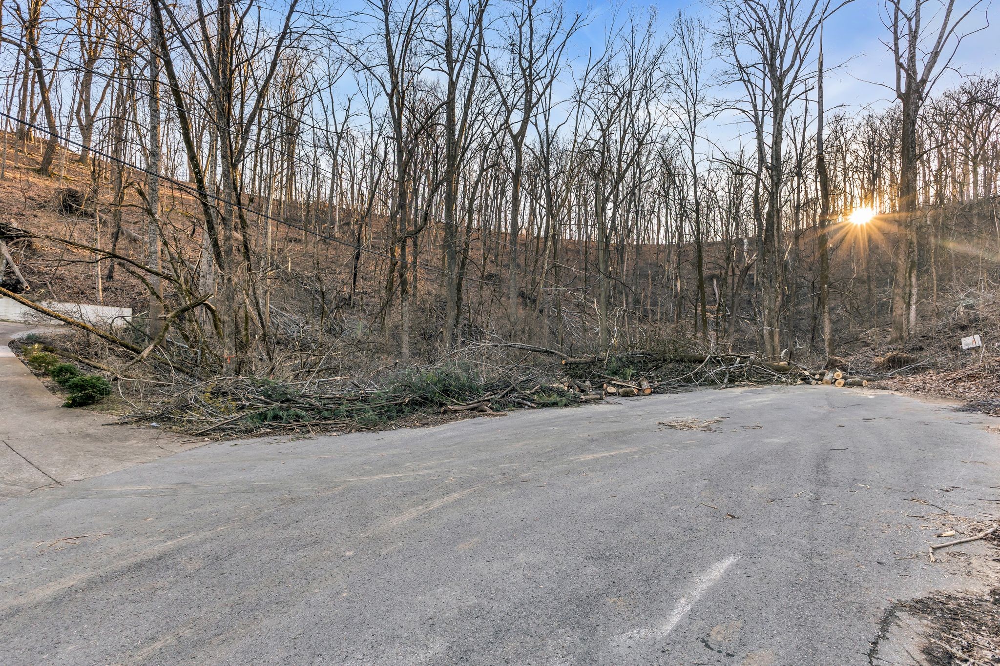 6621 Chatsworth Place Nashville TN 37205