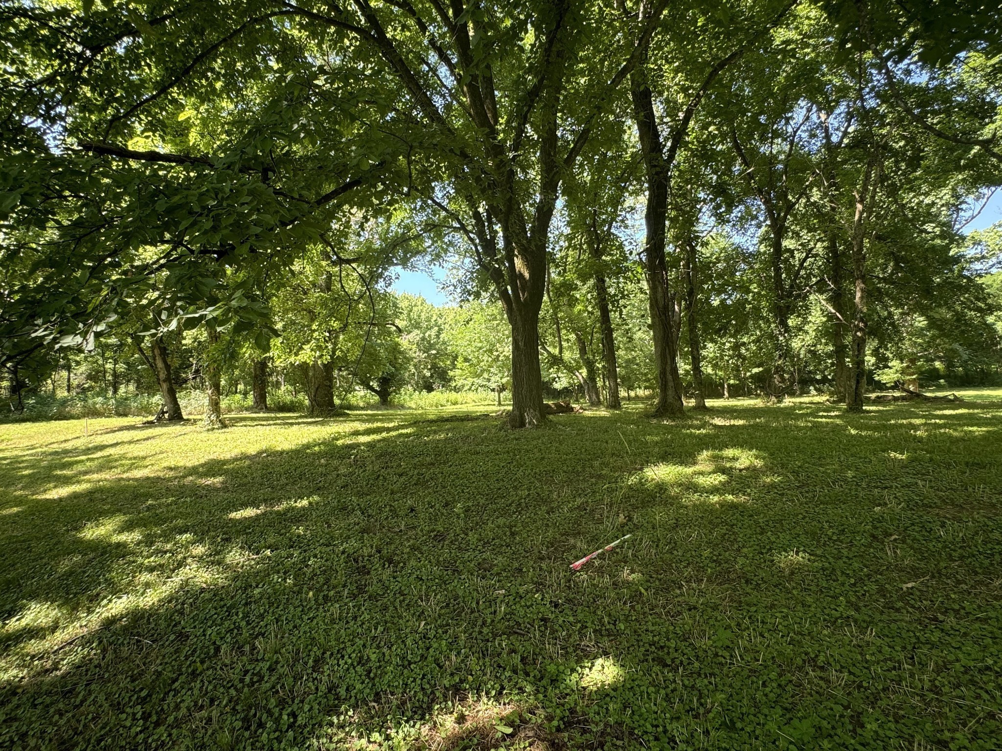 0 Sauger Drive Charlotte TN 37036
