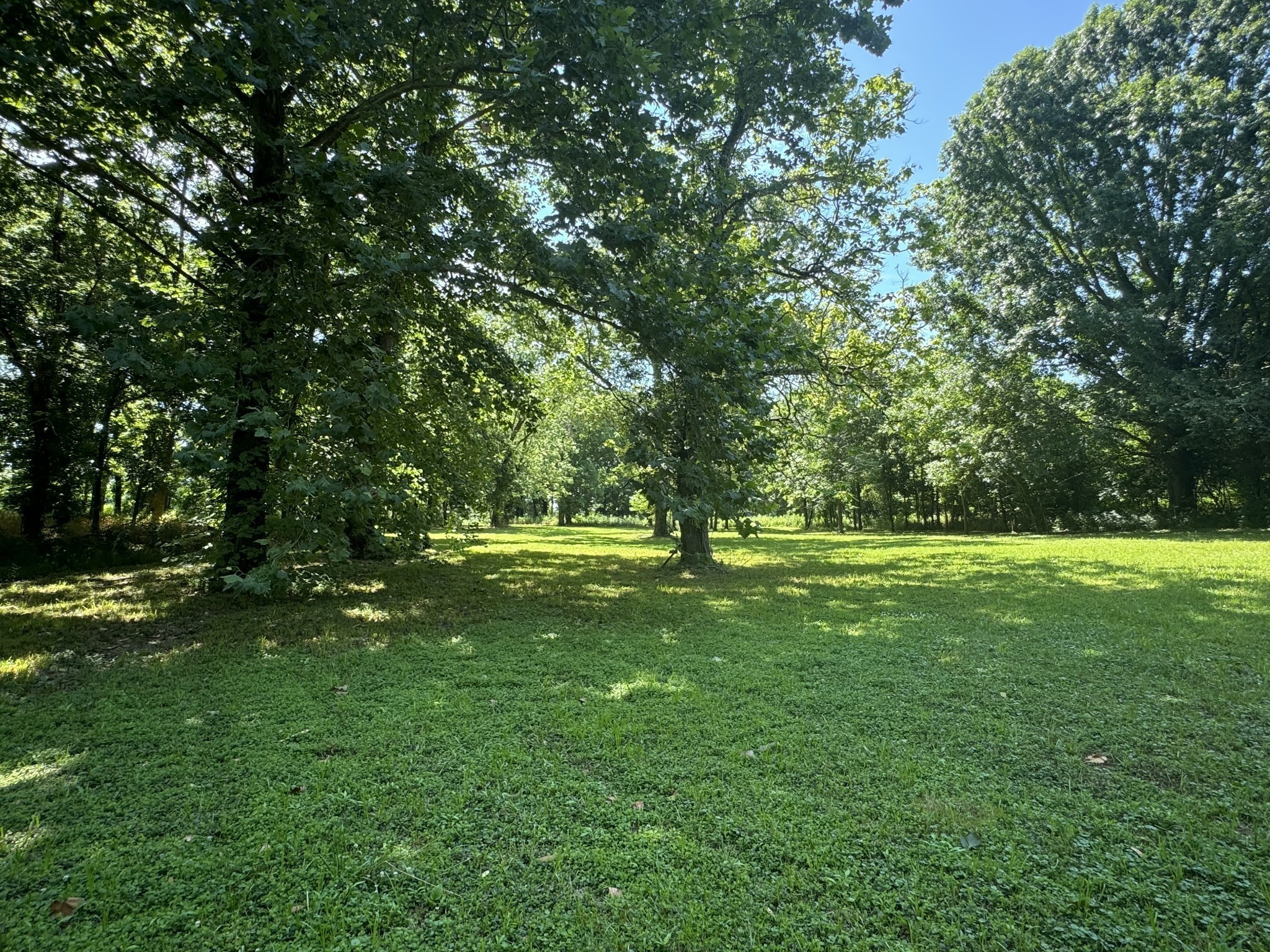 0 Sauger Drive Charlotte TN 37036
