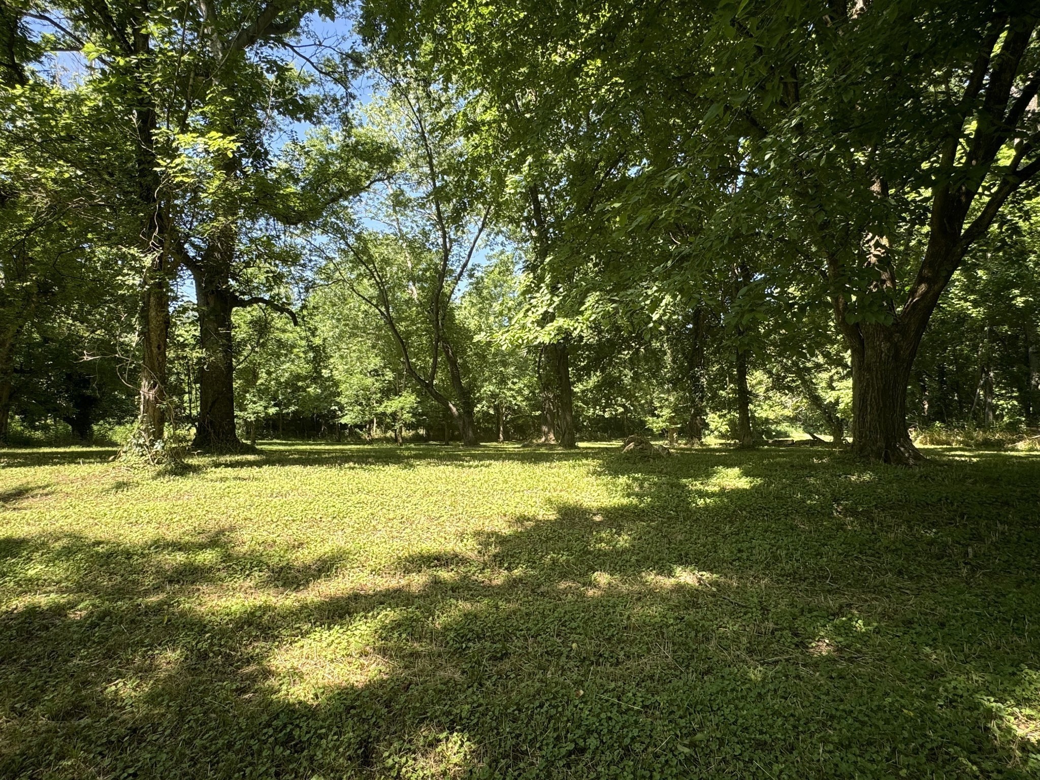 0 Sauger Drive Charlotte TN 37036