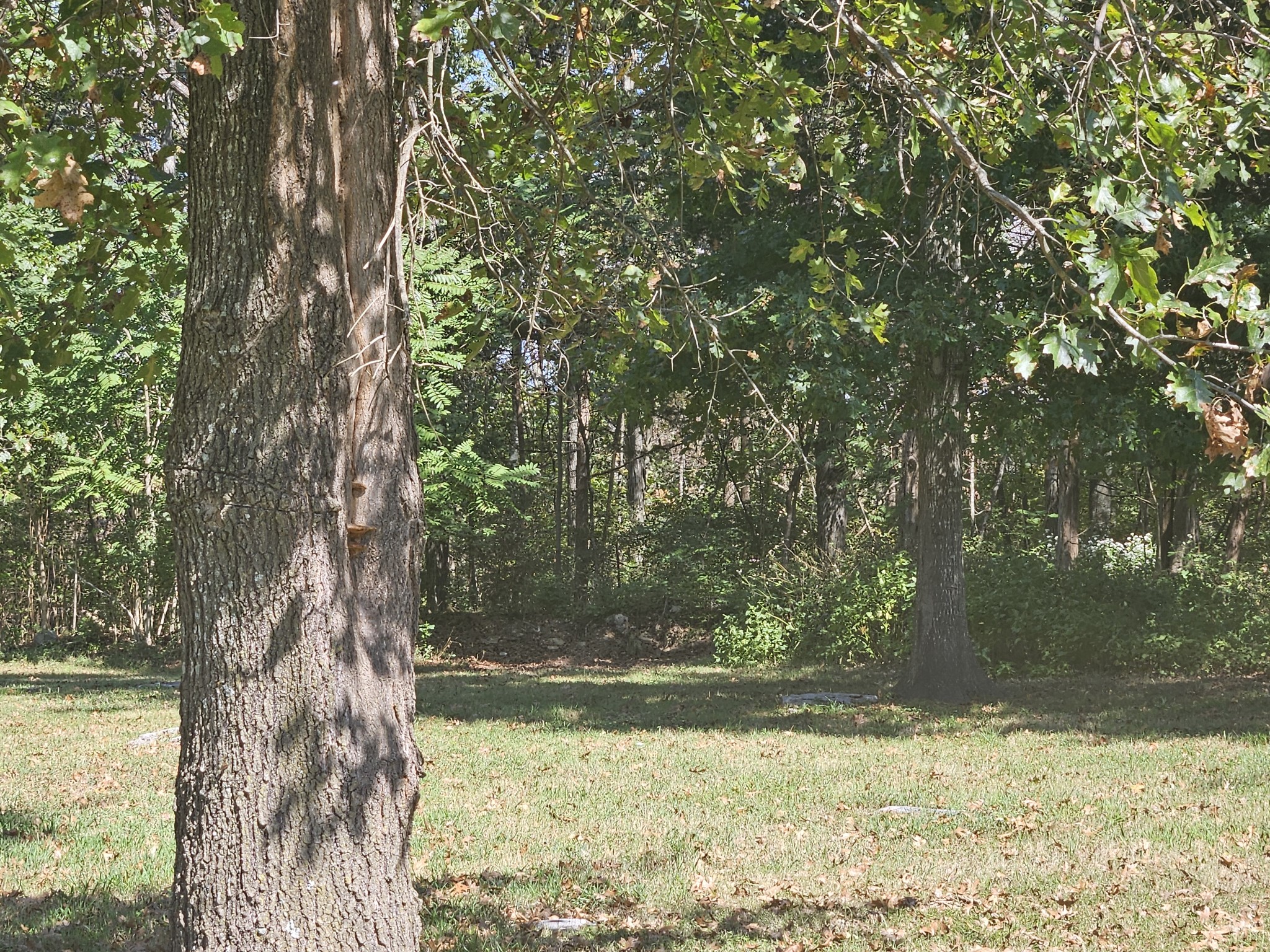 1631 Quarry Road Mount Juliet TN 37122