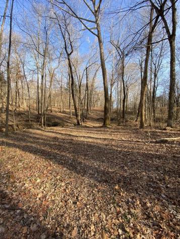 4428 Memory Lane Adams TN 37010