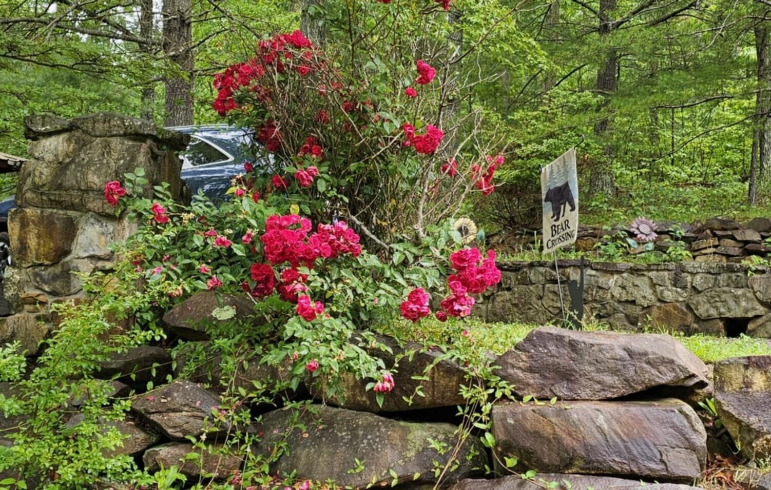 200 Peachtree Lane Tellico Plains TN 37385