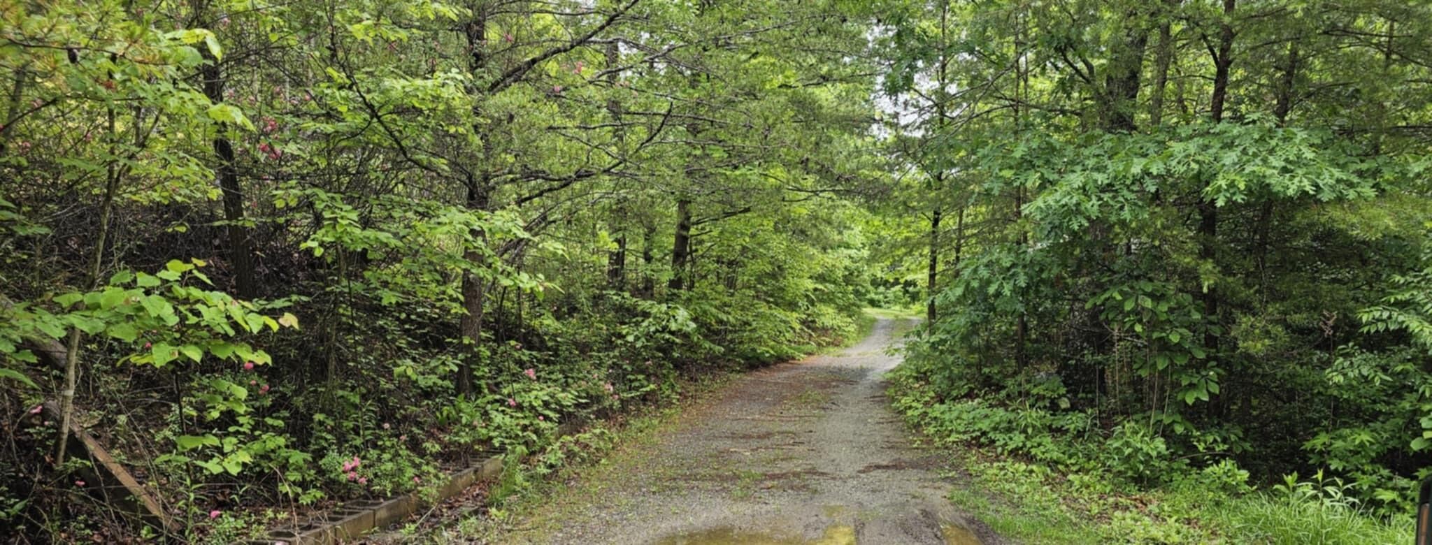 200 Peachtree Lane Tellico Plains TN 37385