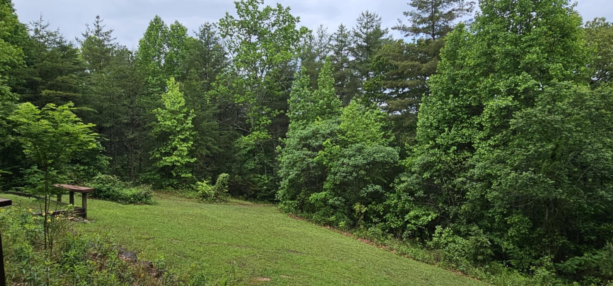200 Peachtree Lane Tellico Plains TN 37385