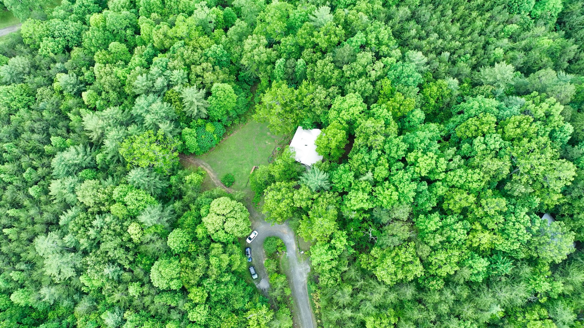 200 Peachtree Lane Tellico Plains TN 37385
