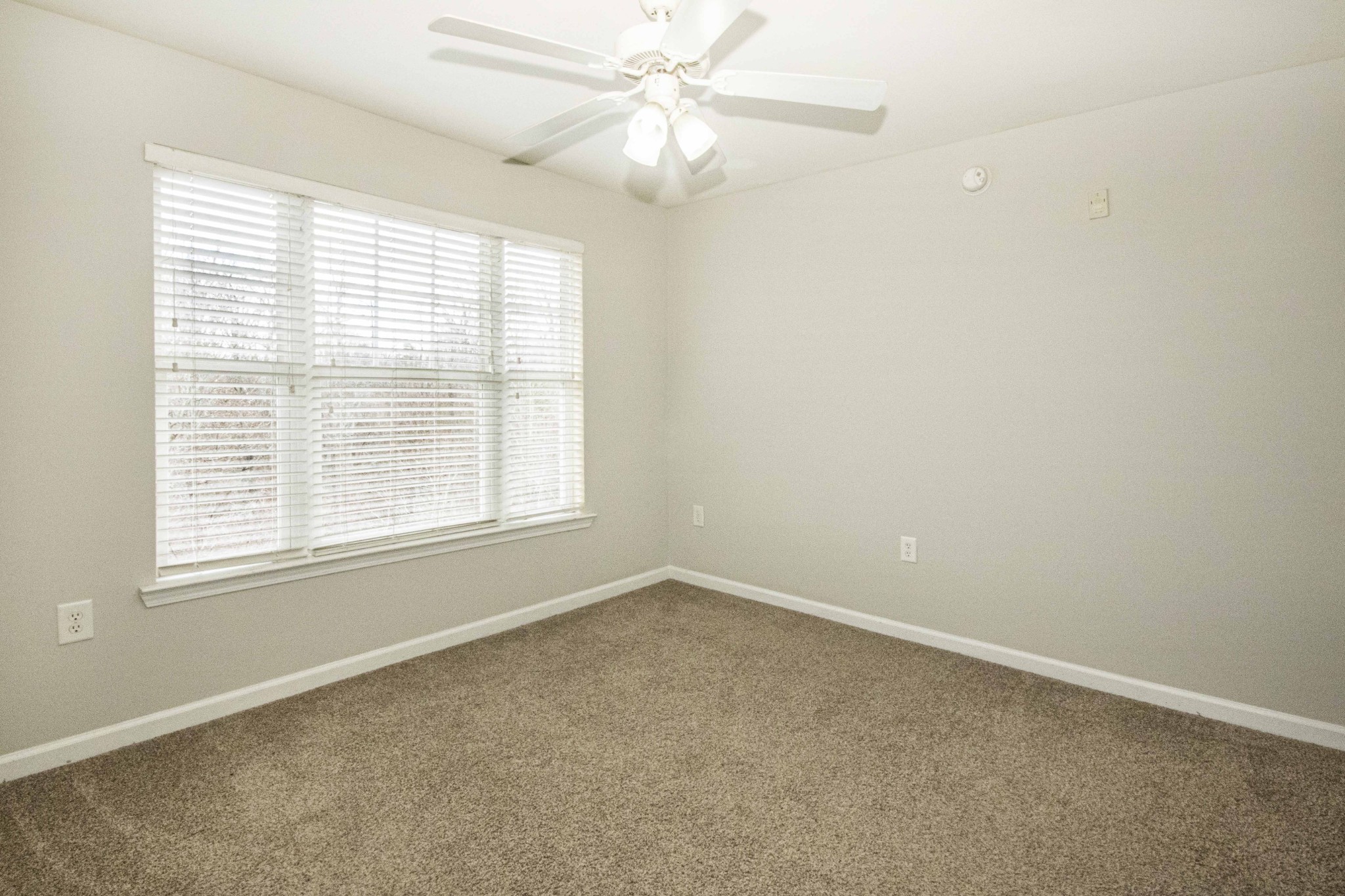 3720 Spruce Ridge Way Knoxville TN 37920