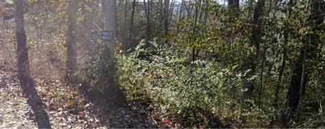 1004 Normal Avenue Chattanooga TN 37405