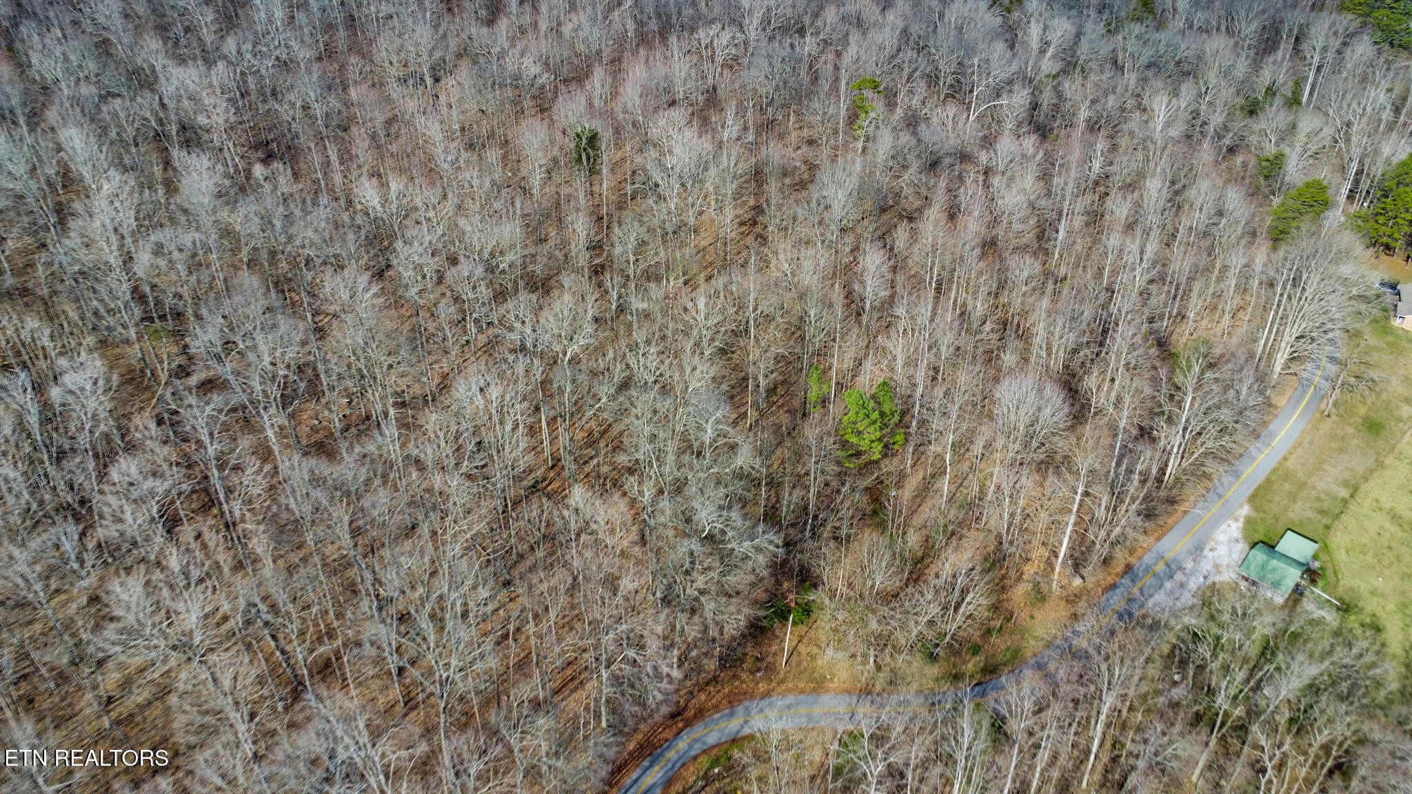 0 Shellotte Loop Pall Mall TN 38577