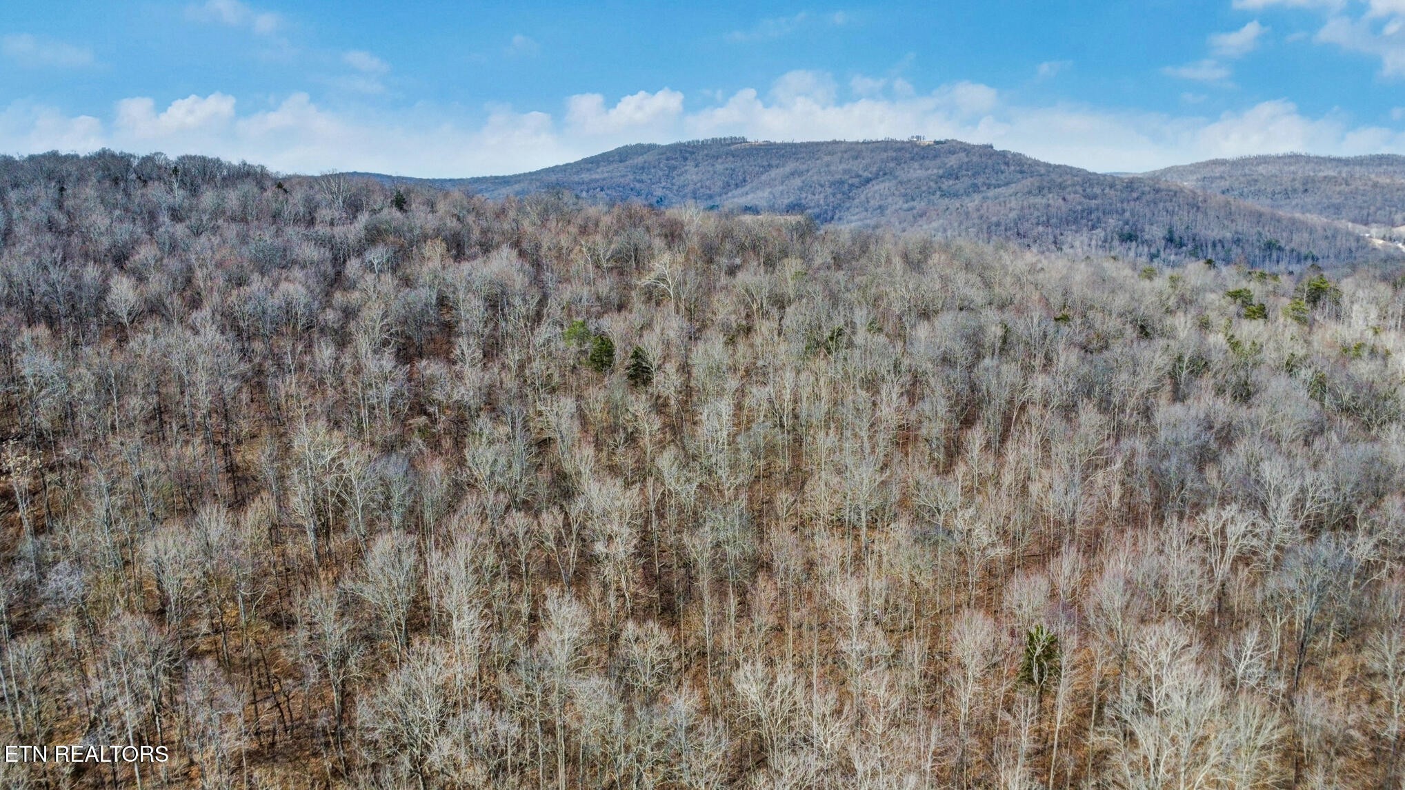 0 Shellotte Loop Pall Mall TN 38577