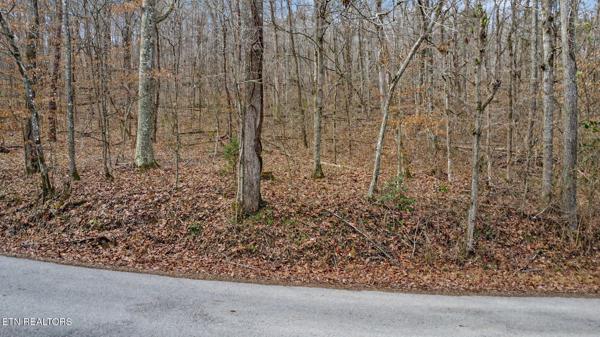 0 Shellotte Loop Pall Mall TN 38577