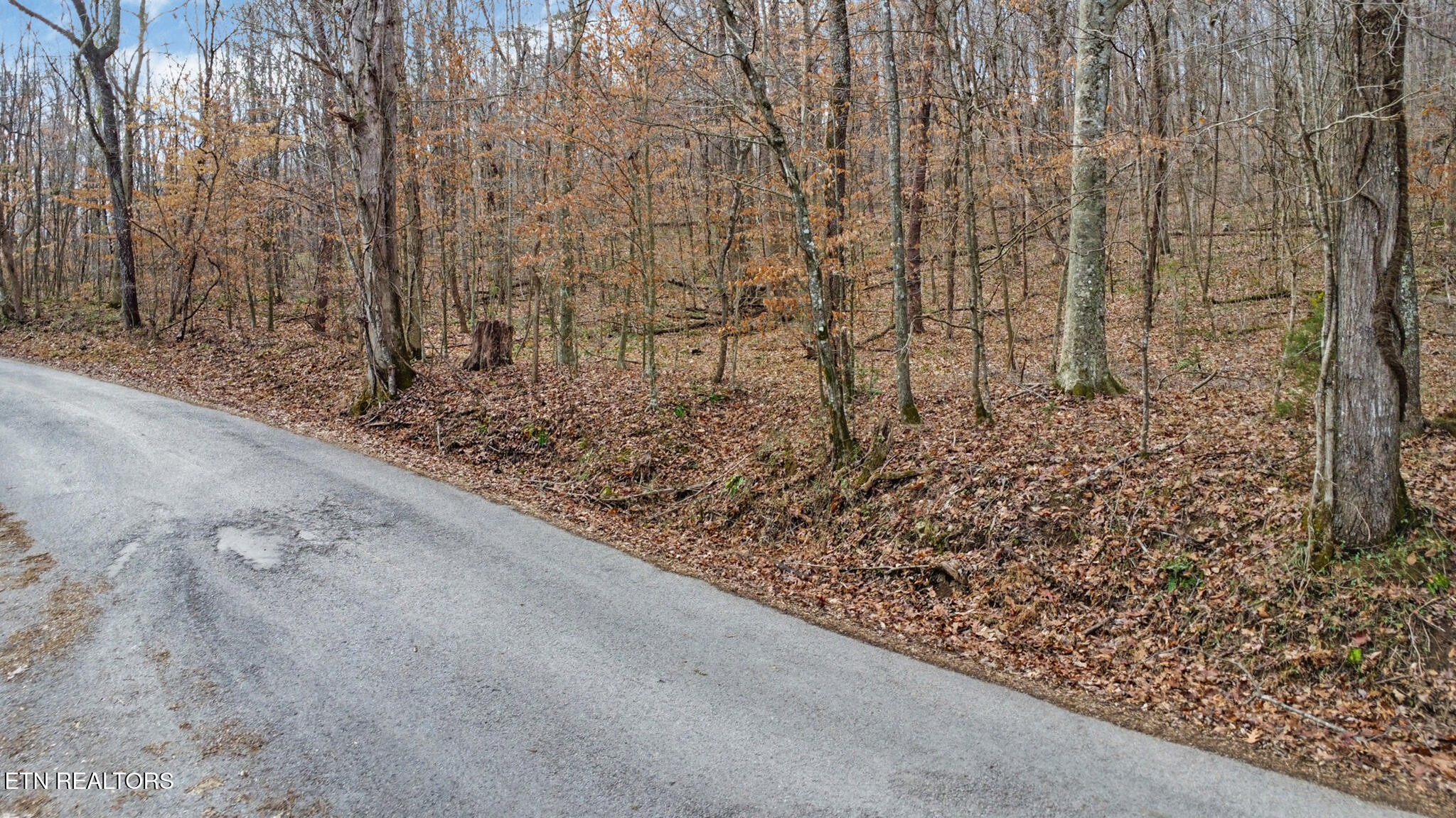 0 Shellotte Loop Pall Mall TN 38577