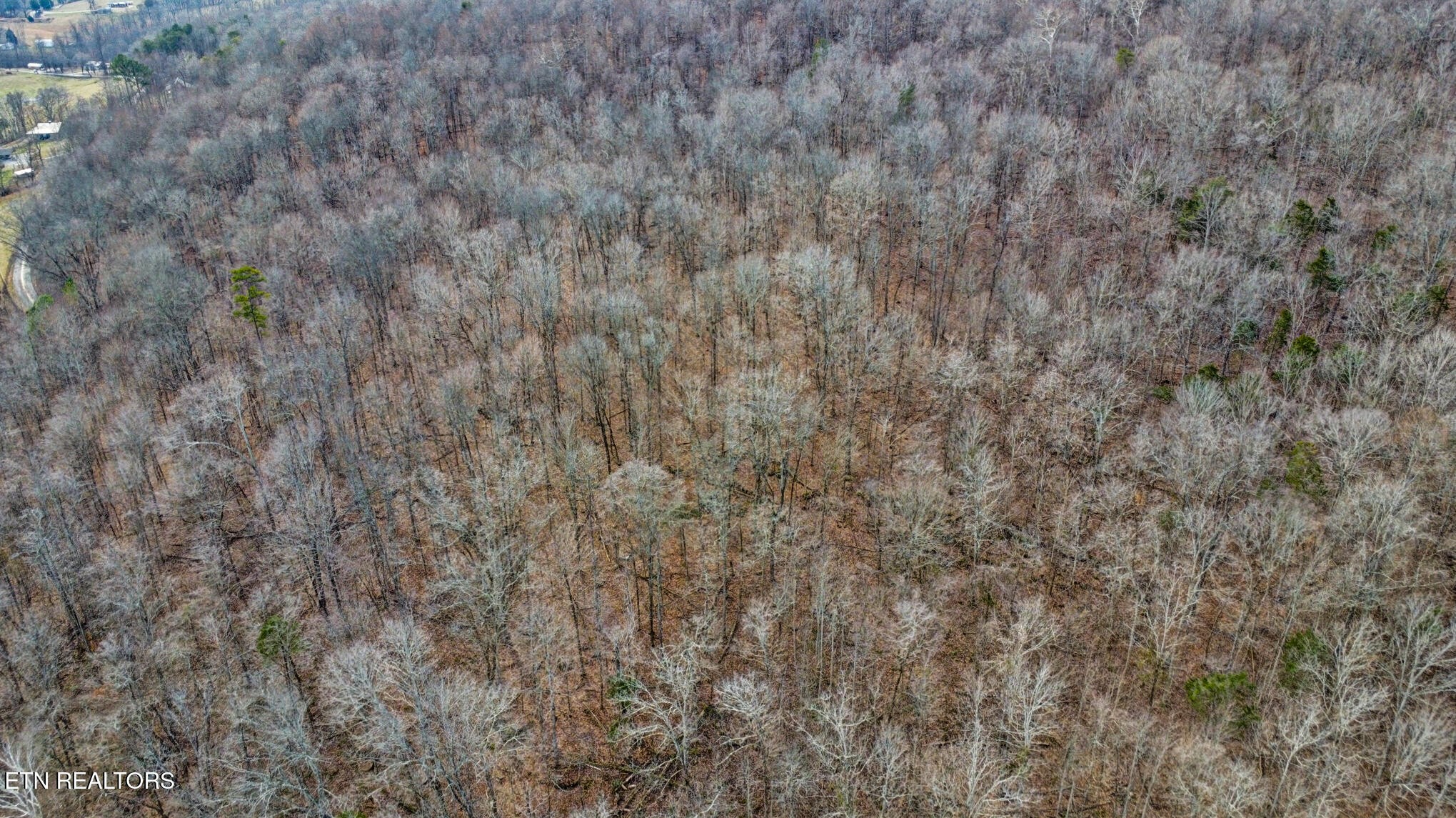 0 Shellotte Loop Pall Mall TN 38577