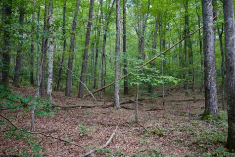 0 Fikes Field Road & Greenfield Road Spencer TN 38585