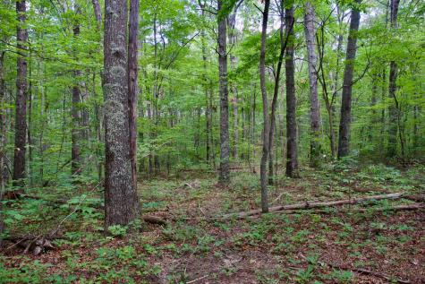 0 Fikes Field Road & Greenfield Road Spencer TN 38585