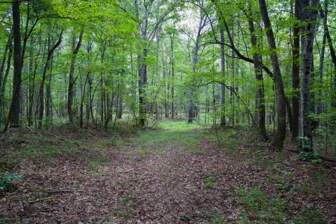 0 Fikes Field Road & Greenfield Road Spencer TN 38585