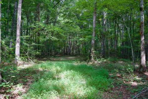 0 Fikes Field Road & Greenfield Road Spencer TN 38585