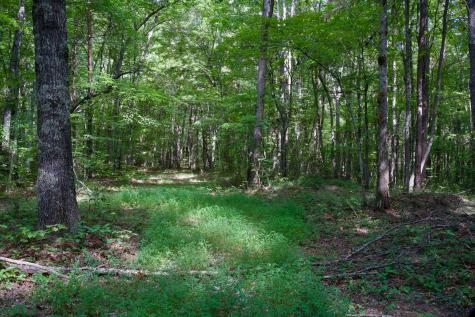 0 Fikes Field Road & Greenfield Road Spencer TN 38585
