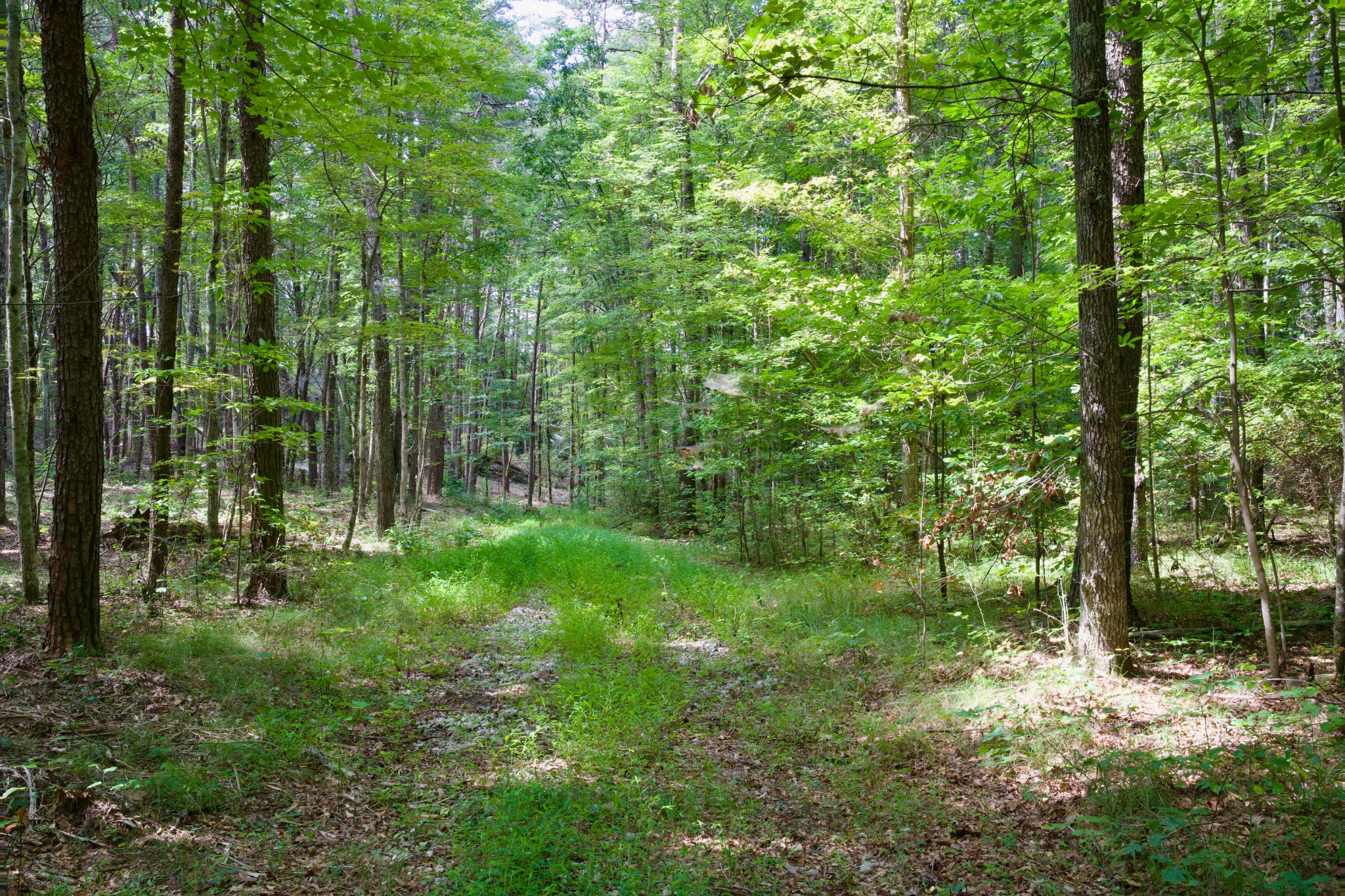 0 Fikes Field Road & Greenfield Road Spencer TN 38585