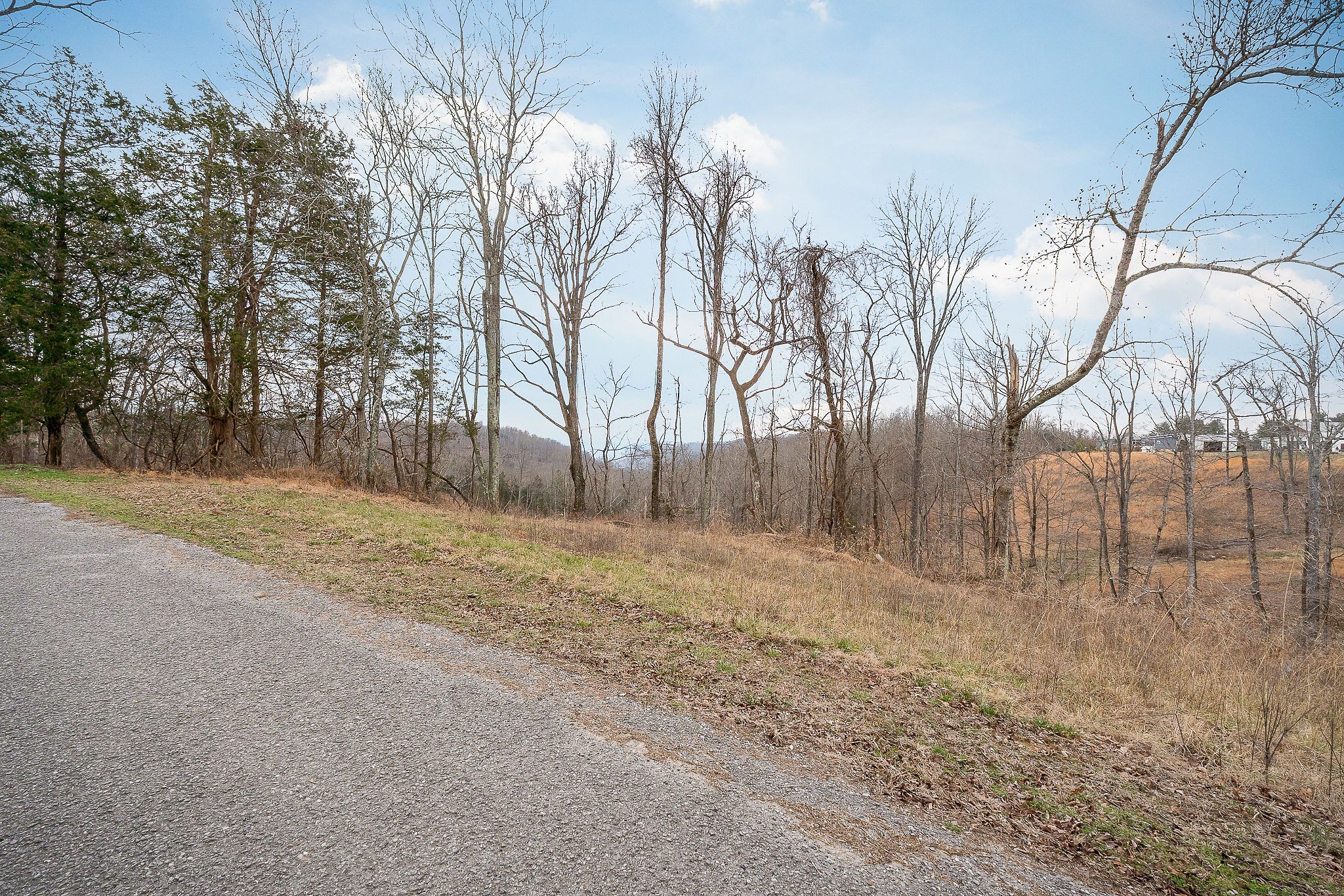 301 Andy Haney Road Cookeville TN 38506