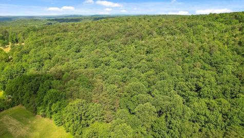 4300 Pocket Road Whitwell TN 37397