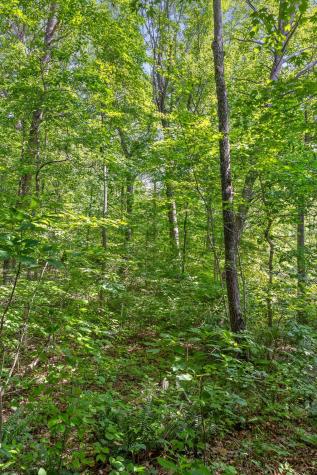 4300 Pocket Road Whitwell TN 37397