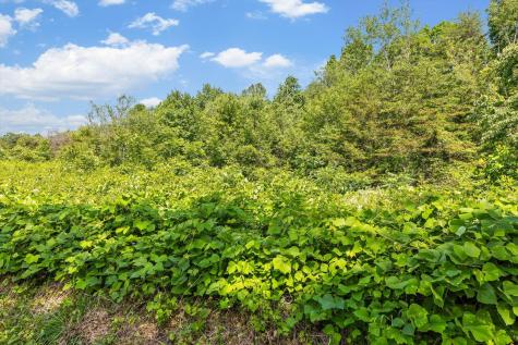 4300 Pocket Road Whitwell TN 37397