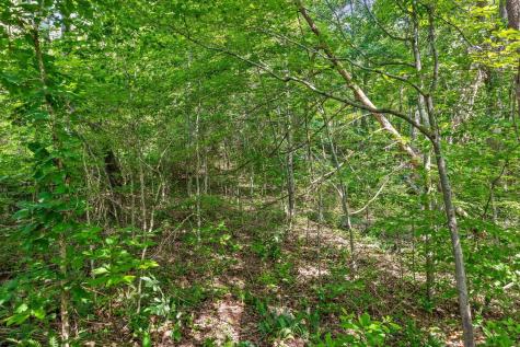 4300 Pocket Road Whitwell TN 37397
