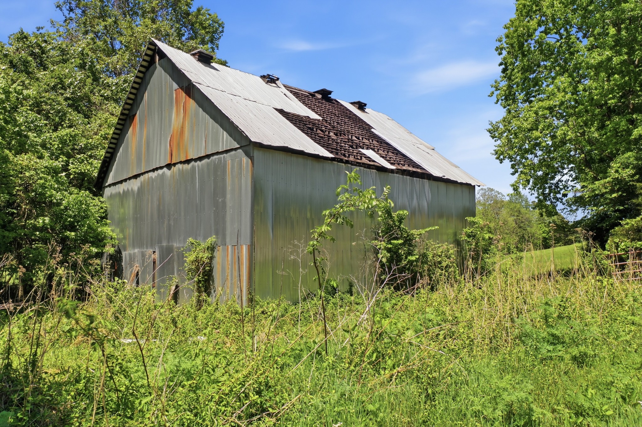 7 Gholson Road Clarksville TN 37043